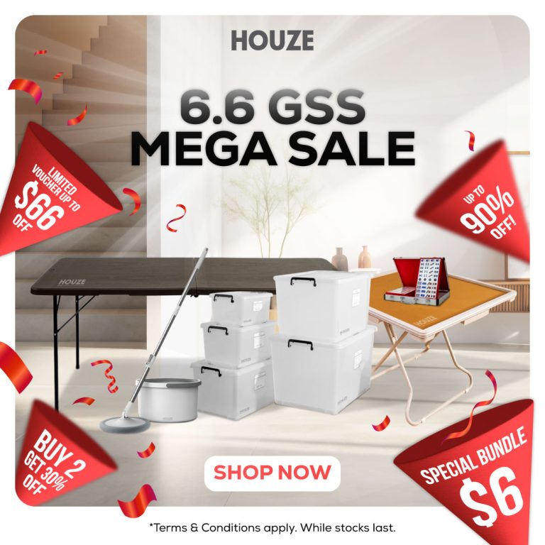 6.6 GSS Mega Sale-02