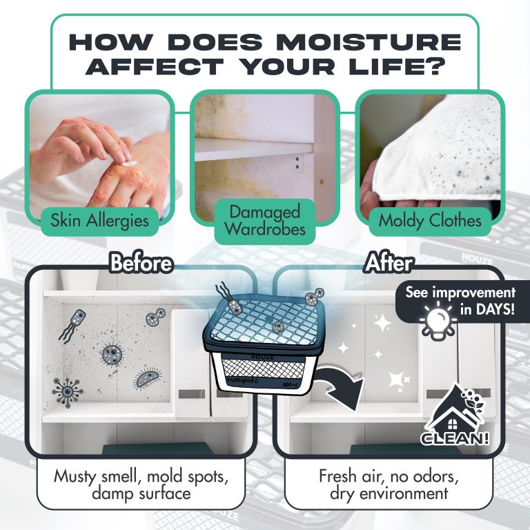 Humipod Activated Charcoal Dehumidifier (800ml)-06